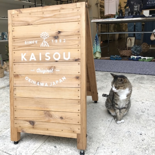 けーーーーのカバー写真