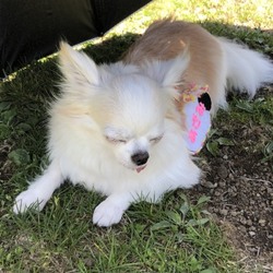 「山中湖に行ってきました！」サムネイル2