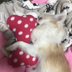 「山中湖に行ってきました！」サムネイル3