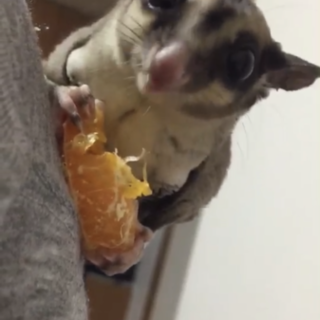 ありがとうございました。