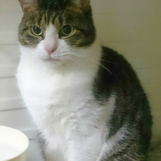 きゅう君のおうち募集中です。