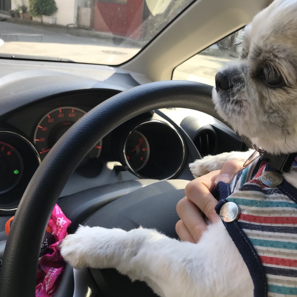 そらのカバー写真