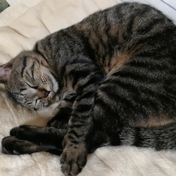 「久々の更新」サムネイル2