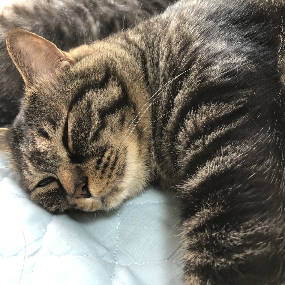 音也くん♡のカバー写真