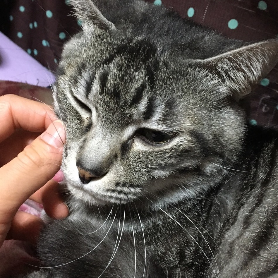 雄飛くん♡のカバー写真