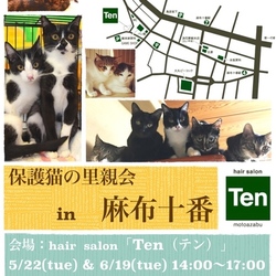 5月22日(火) 地域猫から社会猫へ FIPフリー 麻布十番里親会(ボランティア募集中)