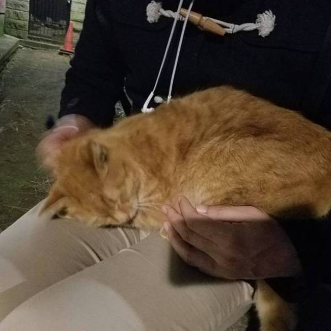 Osageのカバー写真