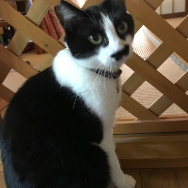 ミッション失敗。失意の朧隊長(´；д； )