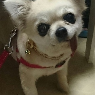 ようやく人を信じ、生きる喜びを知りました！