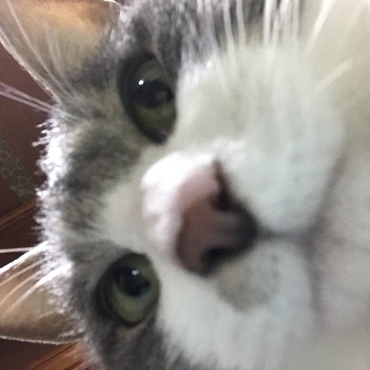 の写真