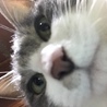 の写真