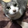 の写真