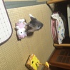 の写真
