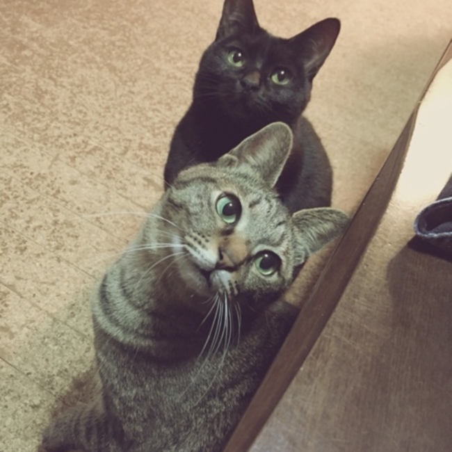 まちよのカバー写真