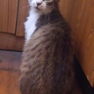 恐がりだけど甘えん坊