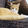 大きくなりました( ˊ̱˂˃ˋ̱ )
