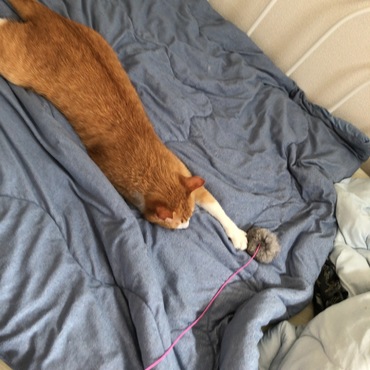 ソラくんの写真