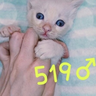 管理番号：OS−519
