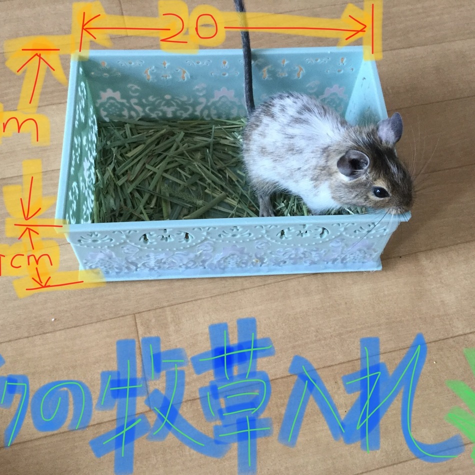 ROROのカバー写真