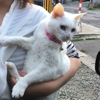 大人しいです！