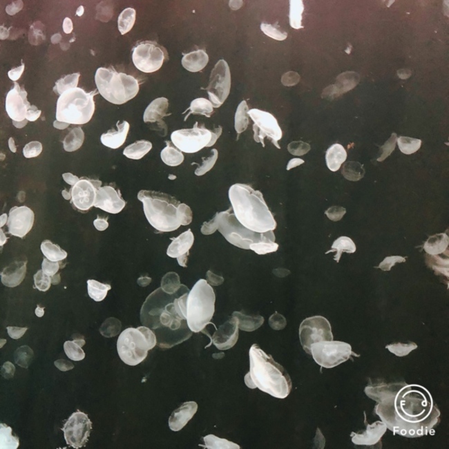 miracleboxのカバー写真