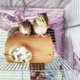 良き里親様に出会えました