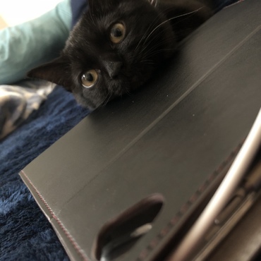 ラミちゃんの写真