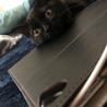 の写真
