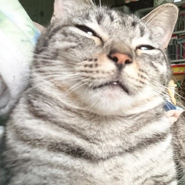 朝日が差し込んだ、ぽかぽかのお布団でまったり