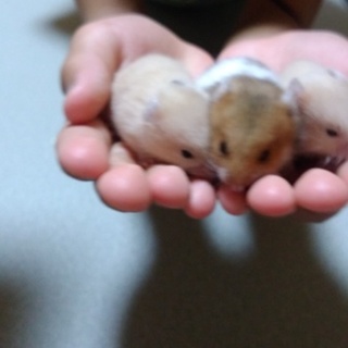 2匹里親様決定☆