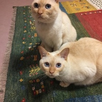 空（そら）・海（かい）