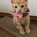 きゃわい〜三兄弟❤︎