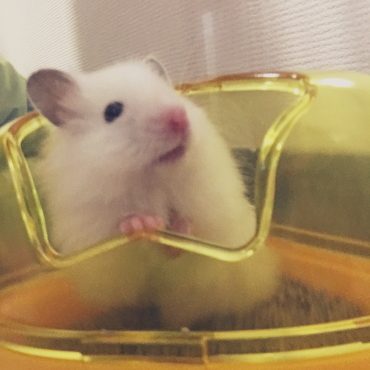 ゆぱ
