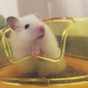 ゆぱ