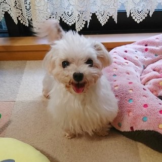 素敵な家族ができました、ありがとうございました♪