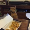 の写真