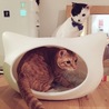の写真