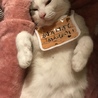 モヒャ子