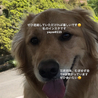 の写真
