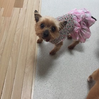 敦賀（つるが）少しびびりな穏やかな女の子