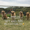 の写真