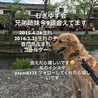 の写真