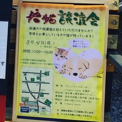 ジョンソンタウン犬猫の譲渡会