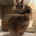 可愛い男の子です^ ^