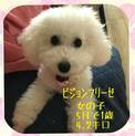 ジェンナと申します