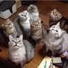mew118