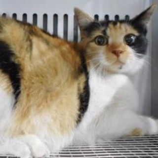 保護団体様が引き出して下さいました。