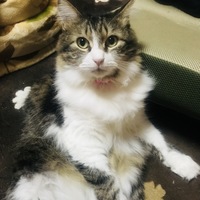 ベル
