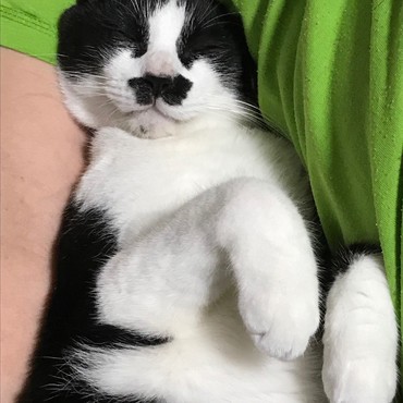 一番の甘えん坊。朧（おぼろ）お化けだぞぉ