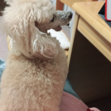 の写真